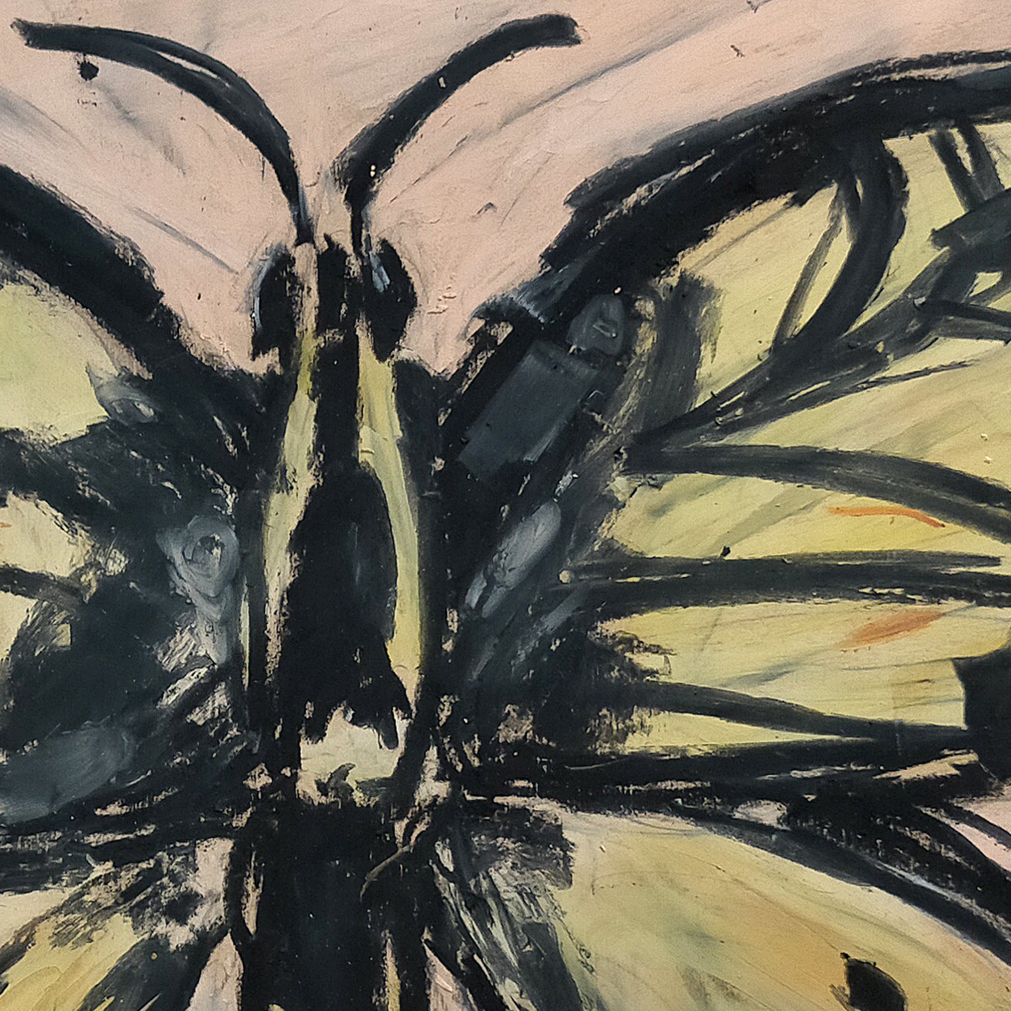 Swallowtail Butterfly – WHITE WALL PROJECT